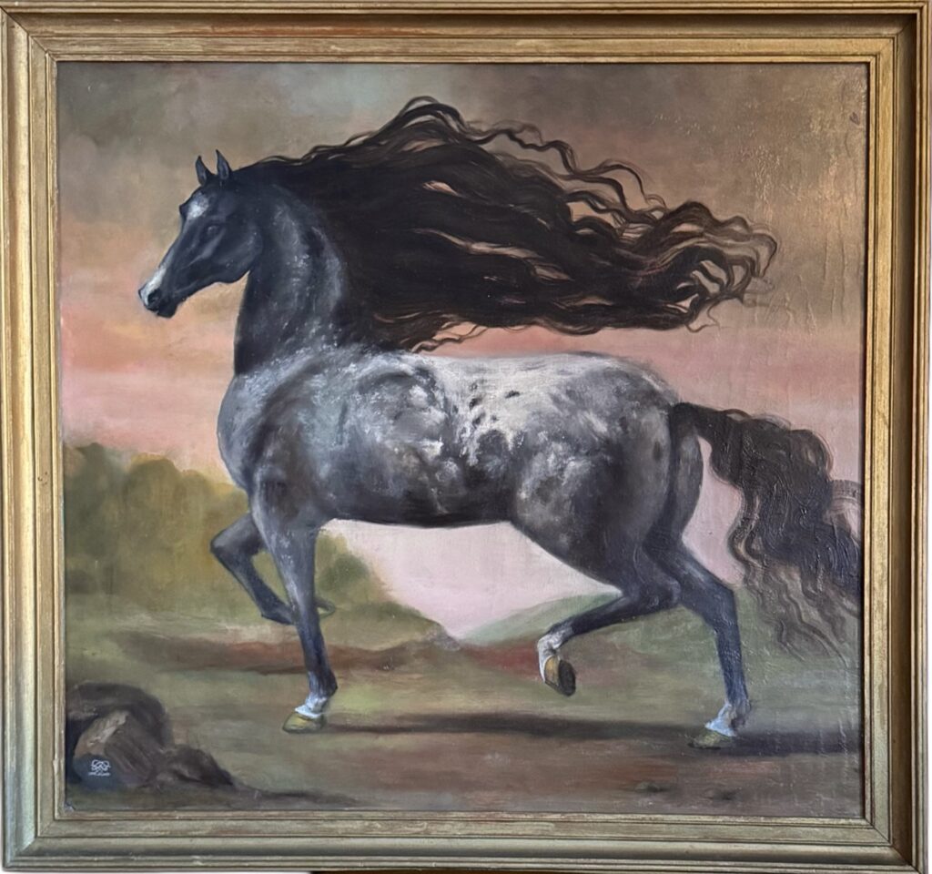 61x63 cm